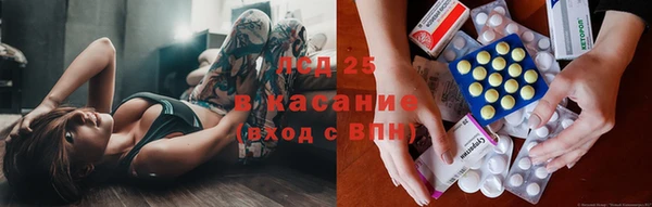 дурь Долгопрудный